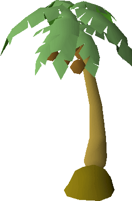 palm tree